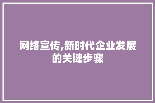 网络宣传,新时代企业发展的关键步骤 SEO教程