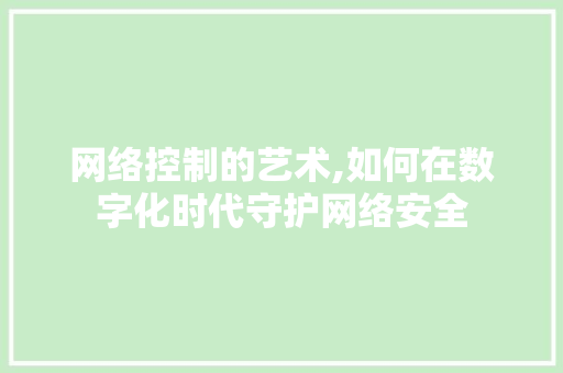 网络控制的艺术,如何在数字化时代守护网络安全