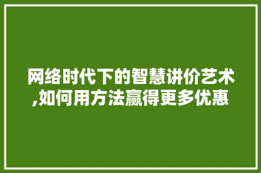 网络时代下的智慧讲价艺术,如何用方法赢得更多优惠