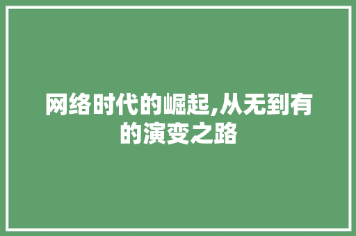 网络时代的崛起,从无到有的演变之路