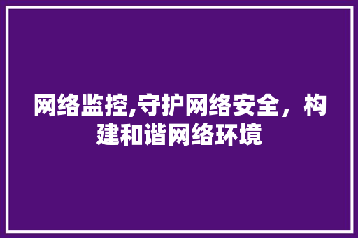 网络监控,守护网络安全,构建和谐网络环境 网络监控,守护网络安全,构建和谐网络环境