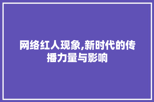 网络红人现象,新时代的传播力量与影响 Web前端