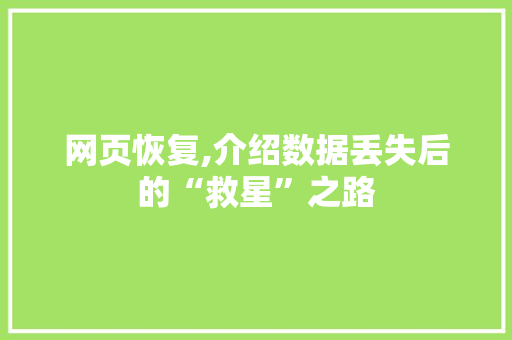 网页恢复,介绍数据丢失后的“救星”之路