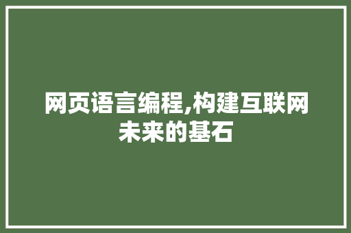 网页语言编程,构建互联网未来的基石