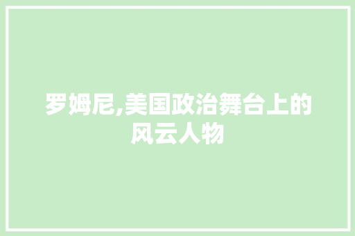罗姆尼,美国政治舞台上的风云人物