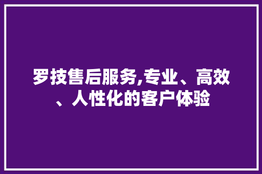 罗技售后服务,专业、高效、人性化的客户体验