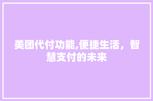 美团代付功能,便捷生活，智慧支付的未来