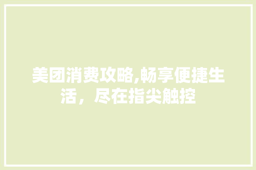 美团消费攻略,畅享便捷生活，尽在指尖触控