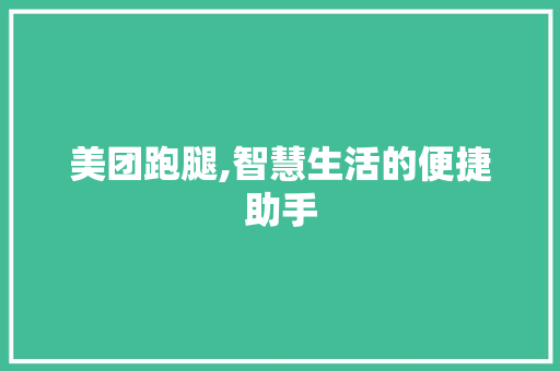 美团跑腿,智慧生活的便捷助手