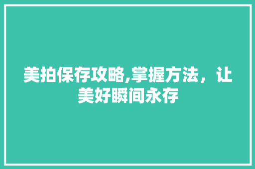 美拍保存攻略,掌握方法，让美好瞬间永存