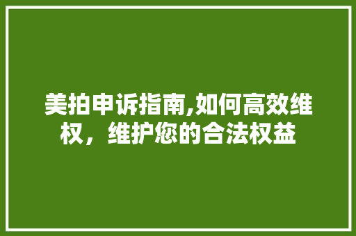 美拍申诉指南,如何高效维权，维护您的合法权益