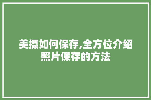 美摄如何保存,全方位介绍照片保存的方法