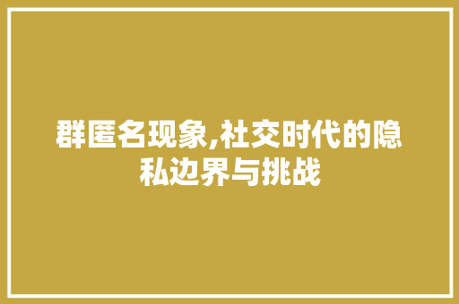 群匿名现象,社交时代的隐私边界与挑战