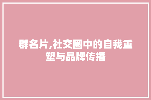 群名片,社交圈中的自我重塑与品牌传播