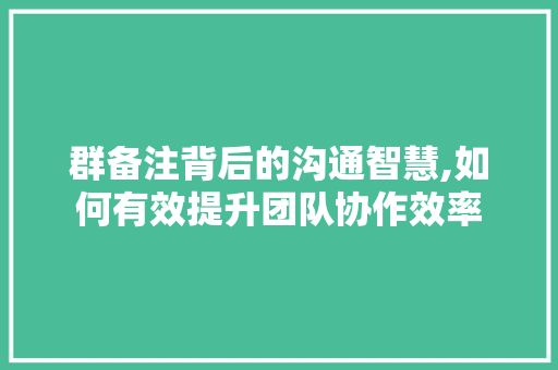 群备注背后的沟通智慧,如何有效提升团队协作效率