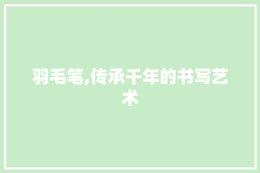 羽毛笔,传承千年的书写艺术