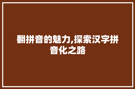 翻拼音的魅力,探索汉字拼音化之路