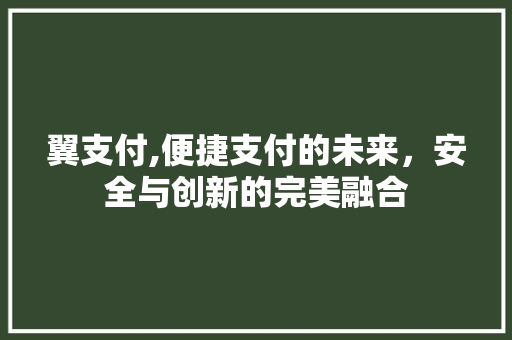翼支付,便捷支付的未来，安全与创新的完美融合