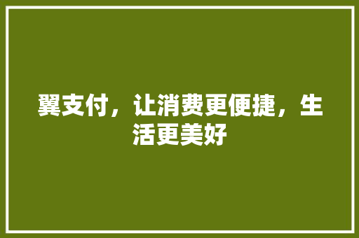 翼支付，让消费更便捷，生活更美好