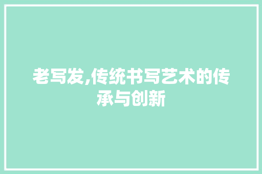 老写发,传统书写艺术的传承与创新