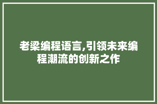 老梁编程语言,引领未来编程潮流的创新之作