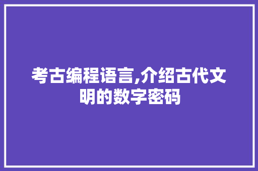 考古编程语言,介绍古代文明的数字密码