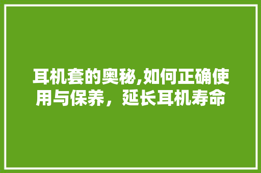 耳机套的奥秘,如何正确使用与保养，延长耳机寿命