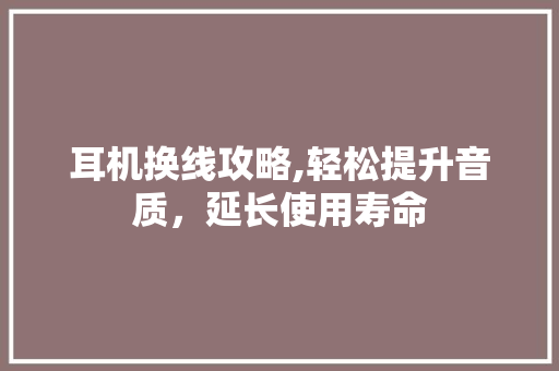 耳机换线攻略,轻松提升音质，延长使用寿命