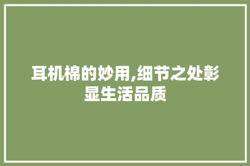 耳机棉的妙用,细节之处彰显生活品质
