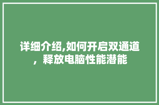 详细介绍,如何开启双通道，释放电脑性能潜能