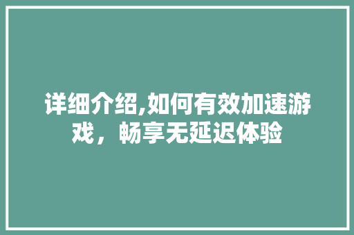 详细介绍,如何有效加速游戏，畅享无延迟体验