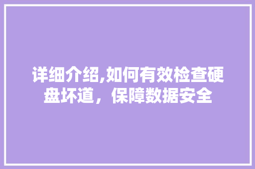 详细介绍,如何有效检查硬盘坏道，保障数据安全