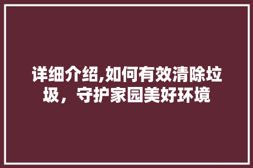 详细介绍,如何有效清除垃圾，守护家园美好环境
