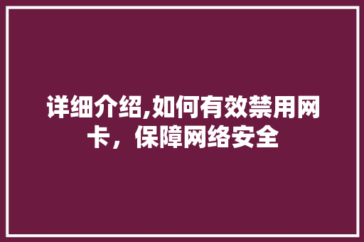 详细介绍,如何有效禁用网卡，保障网络安全