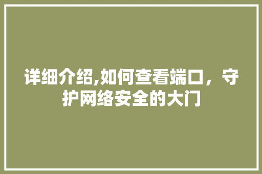 详细介绍,如何查看端口，守护网络安全的大门
