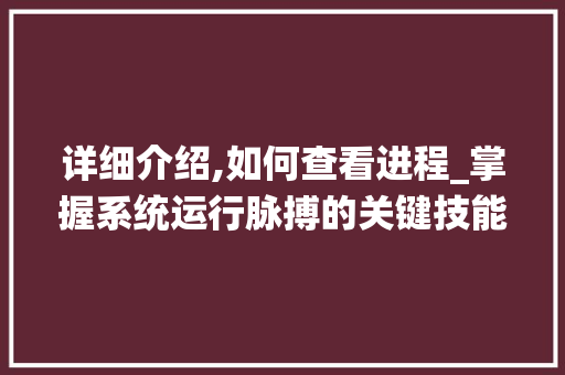 详细介绍,如何查看进程_掌握系统运行脉搏的关键技能