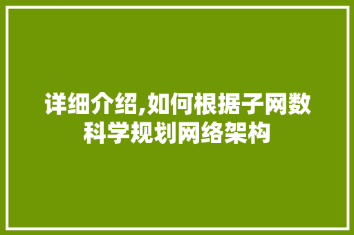 详细介绍,如何根据子网数科学规划网络架构 建站教程