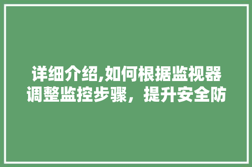 详细介绍,如何根据监视器调整监控步骤，提升安全防范效能