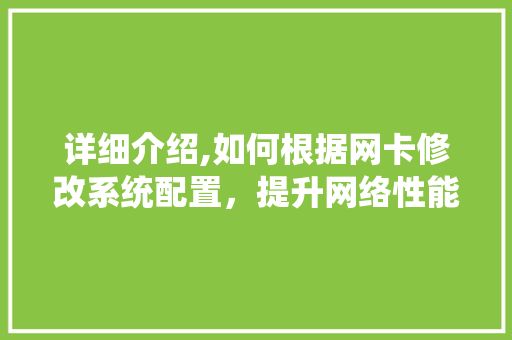 详细介绍,如何根据网卡修改系统配置，提升网络性能 服务器/数据库