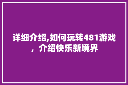 详细介绍,如何玩转481游戏，介绍快乐新境界