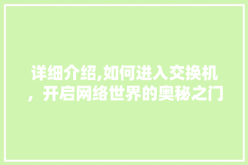 详细介绍,如何进入交换机，开启网络世界的奥秘之门