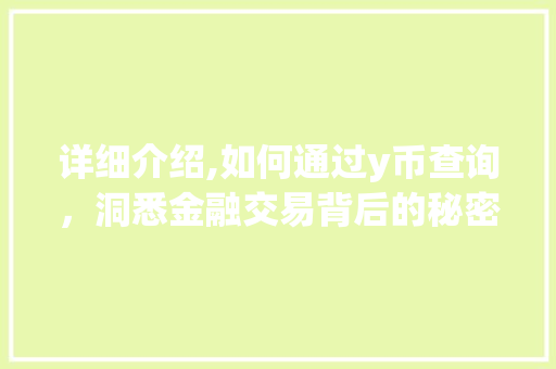详细介绍,如何通过y币查询，洞悉金融交易背后的秘密 服务器/数据库