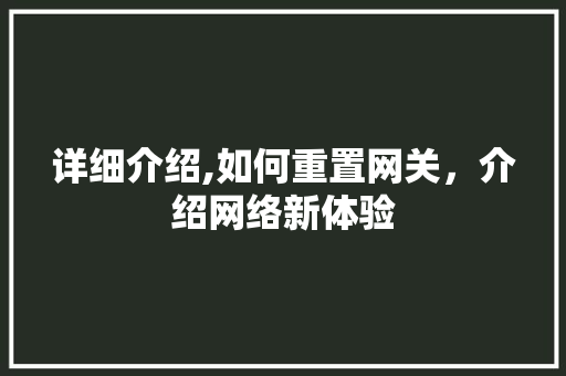 详细介绍,如何重置网关，介绍网络新体验