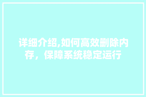 详细介绍,如何高效删除内存，保障系统稳定运行