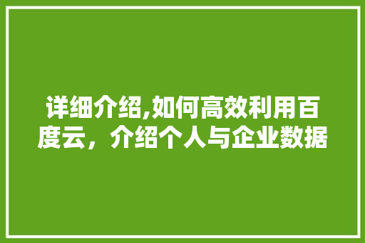 详细介绍,如何高效利用百度云，介绍个人与企业数据存储新境界