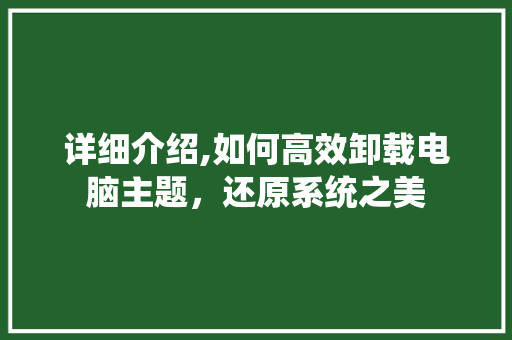详细介绍,如何高效卸载电脑主题，还原系统之美