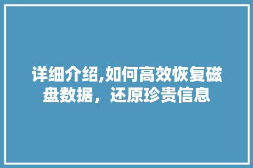 详细介绍,如何高效恢复磁盘数据，还原珍贵信息