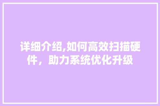 详细介绍,如何高效扫描硬件，助力系统优化升级