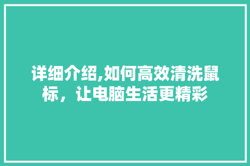 详细介绍,如何高效清洗鼠标，让电脑生活更精彩