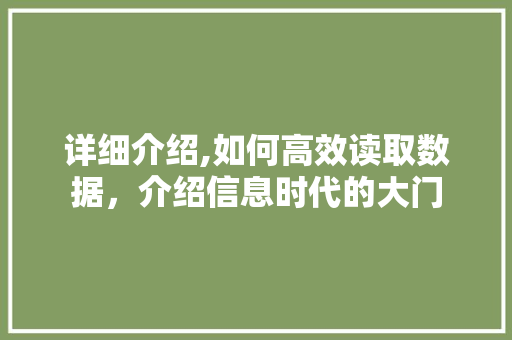 详细介绍,如何高效读取数据，介绍信息时代的大门 Web前端